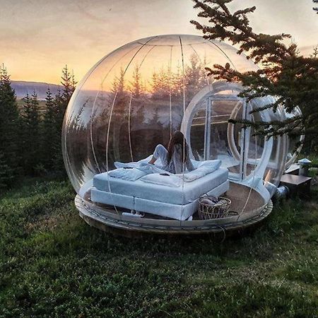 Buubble Hotel - Hrosshagi Selfoss Bagian luar foto