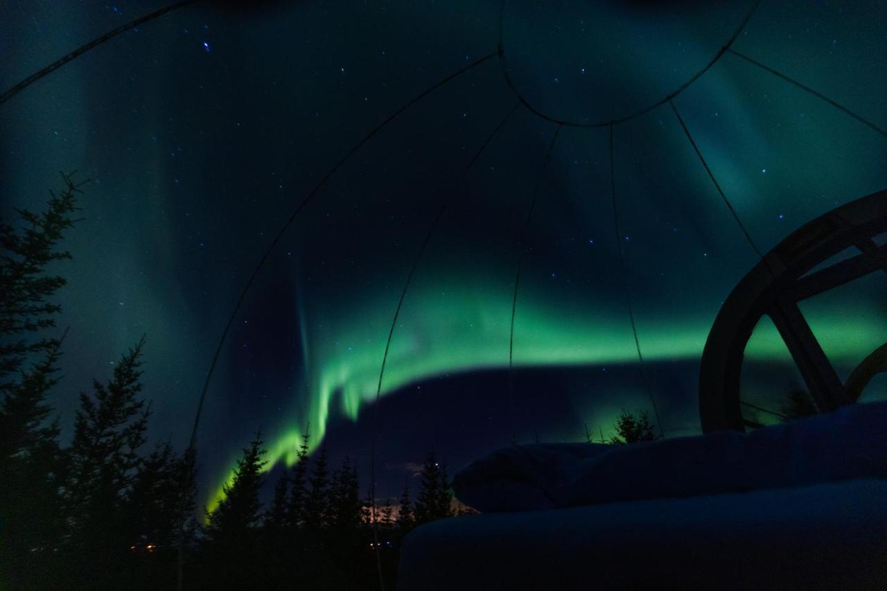 Buubble Hotel - Hrosshagi Selfoss Bagian luar foto