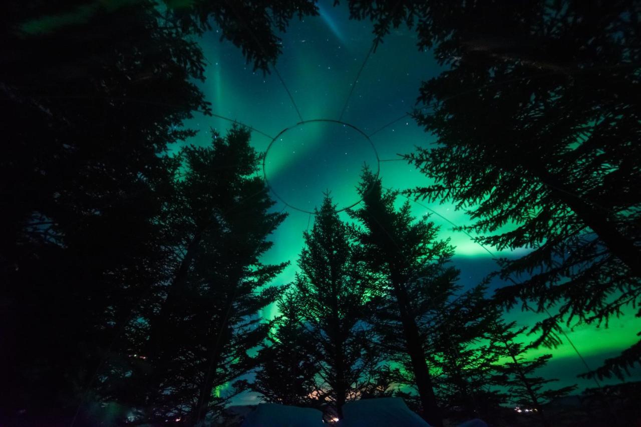 Buubble Hotel - Hrosshagi Selfoss Bagian luar foto