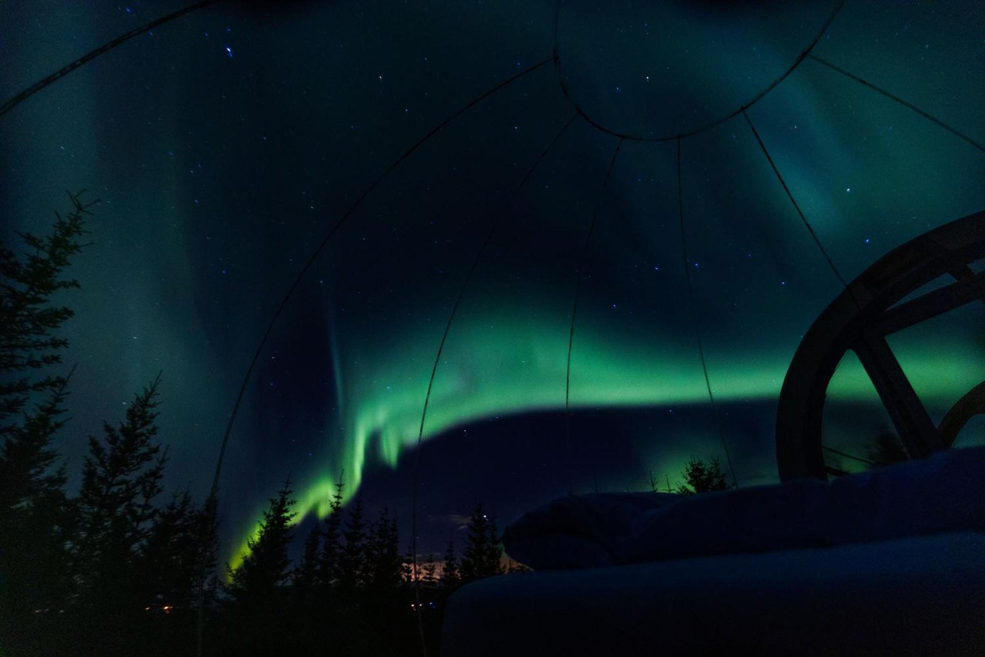 Buubble Hotel - Hrosshagi Selfoss Bagian luar foto