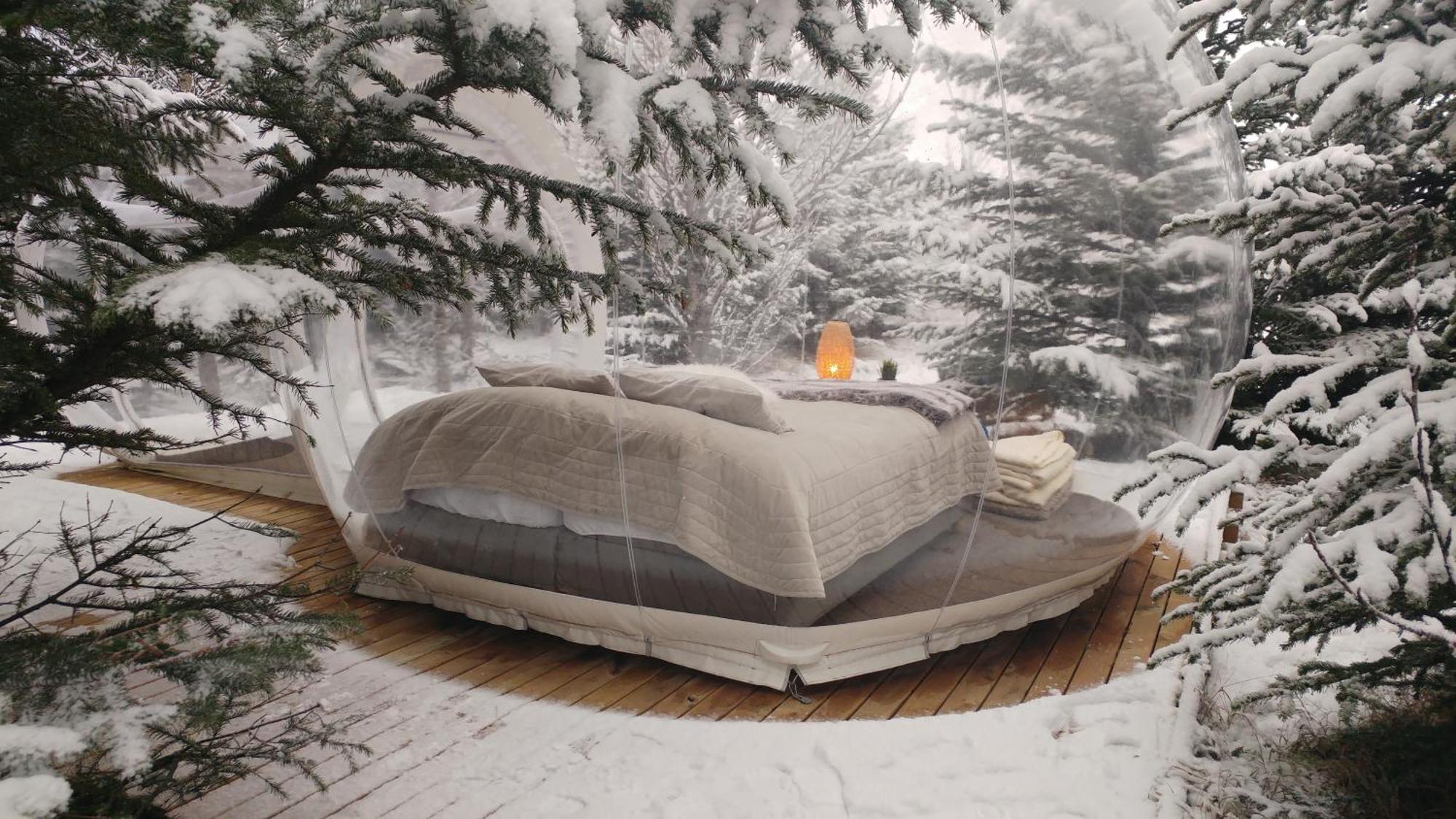 Buubble Hotel - Hrosshagi Selfoss Bagian luar foto